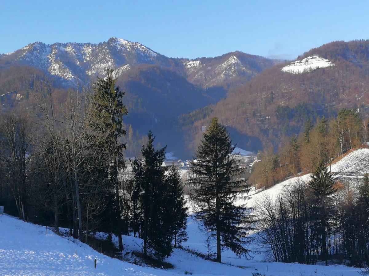 B&B Cerne Polhov Gradec Zewnętrze zdjęcie