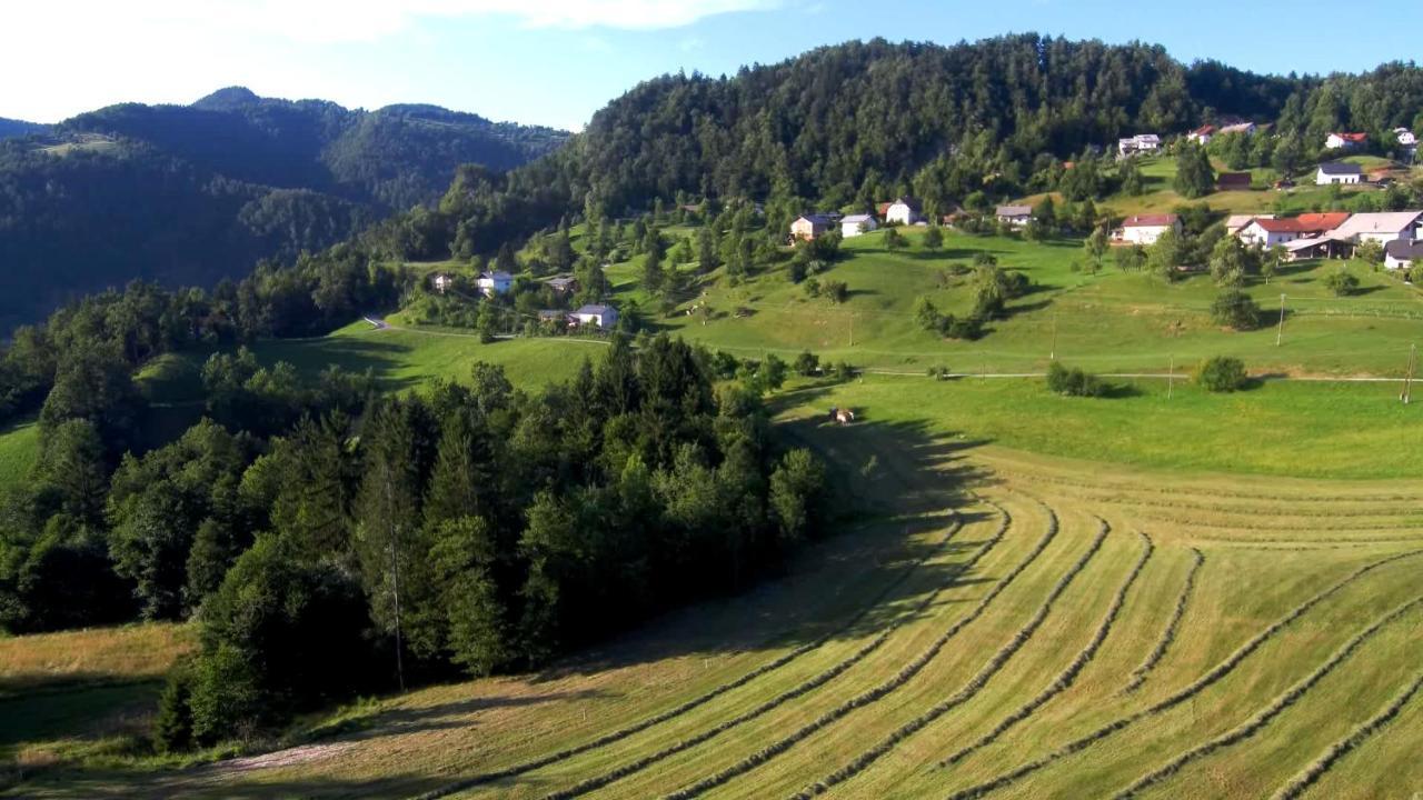 B&B Cerne Polhov Gradec Zewnętrze zdjęcie